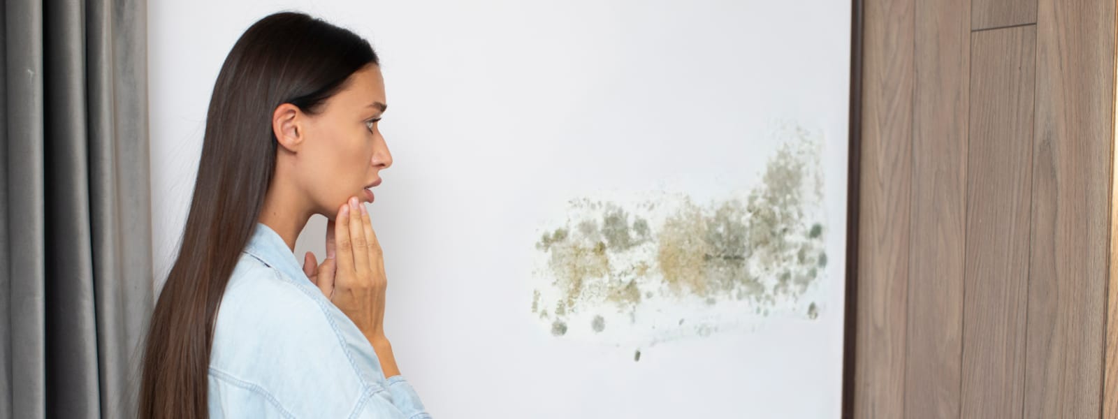 Mold Analysis Morton IL 1 Mold Analysis Morton IL