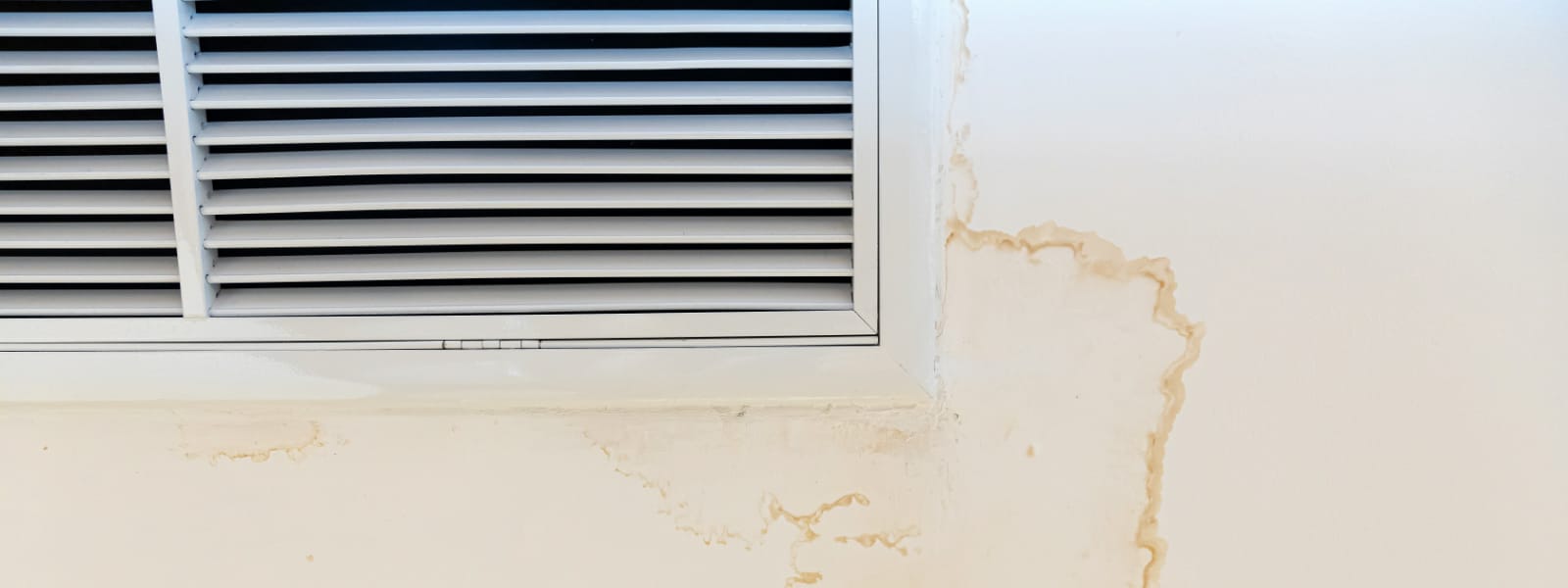 Mold Analysis Peoria IL