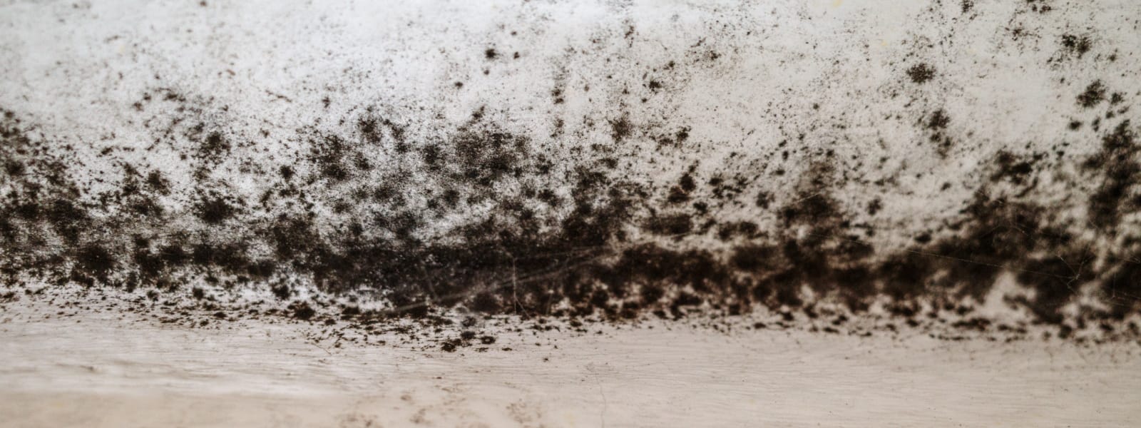 Mold Assessments Peoria IL