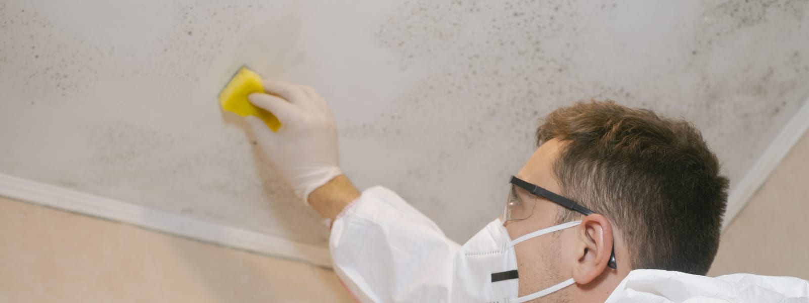 Mold Assessments Washington IL
