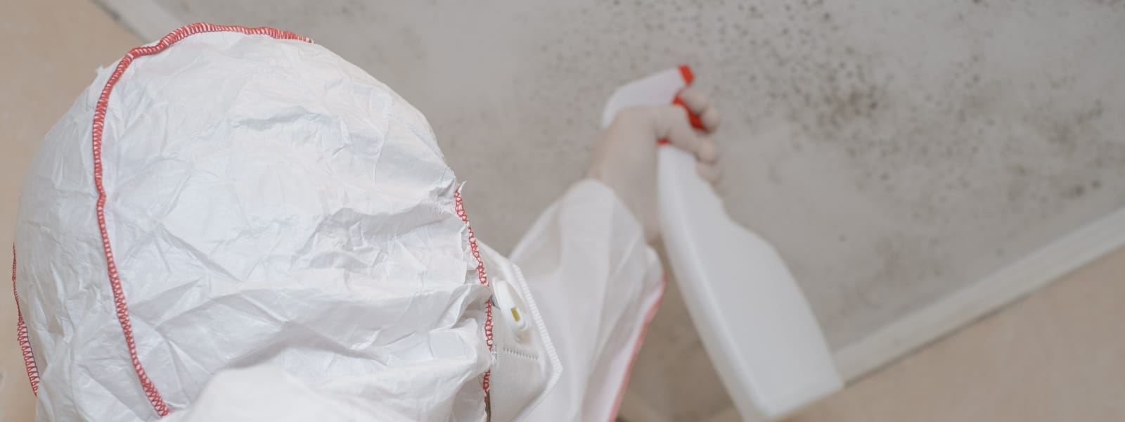 Mold Collection Morton IL