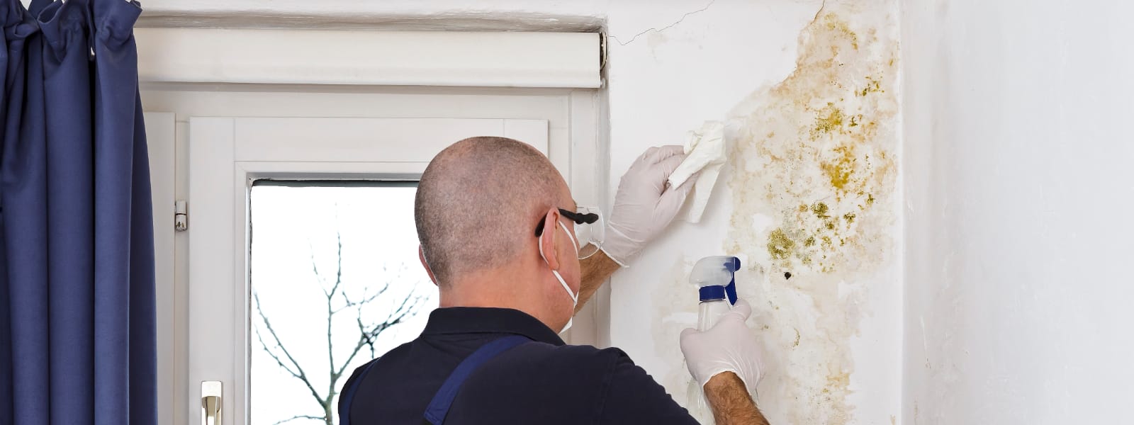 Mold Inspection Morton IL 1 Mold Inspection Morton IL