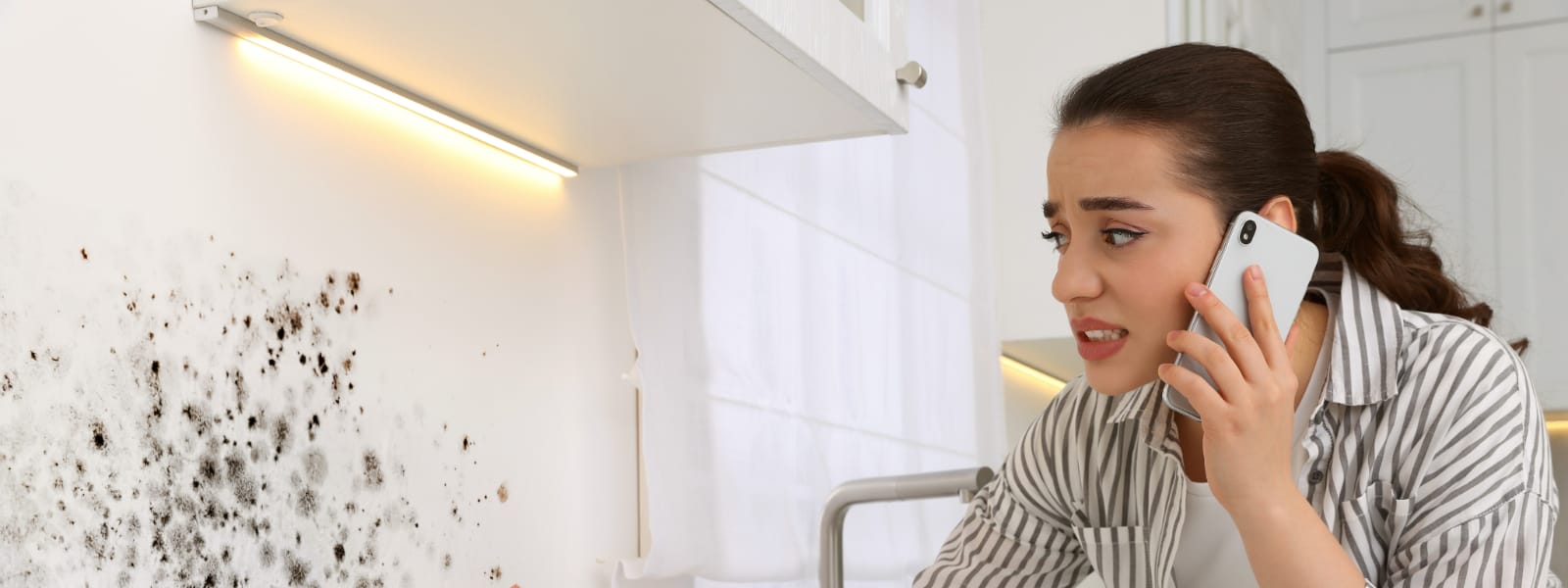 Mold Inspection Pekin IL 1 Mold Inspection Pekin IL