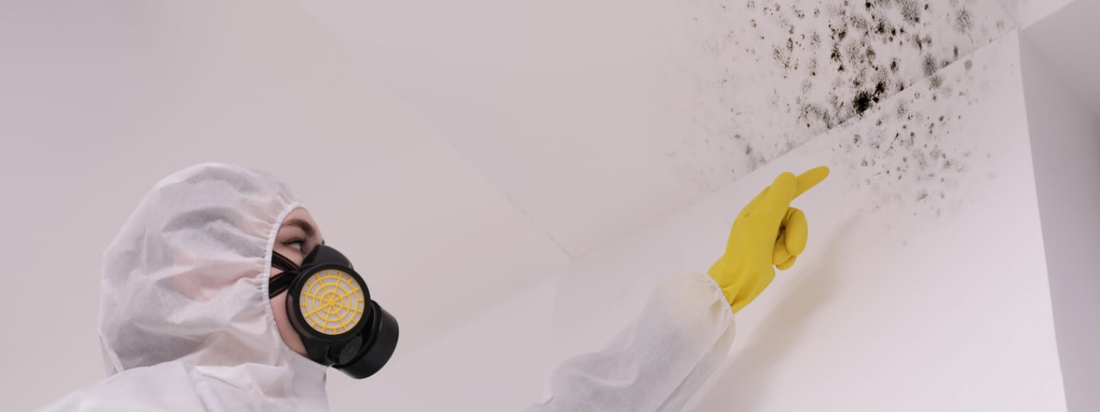 Mold Inspection Peoria IL