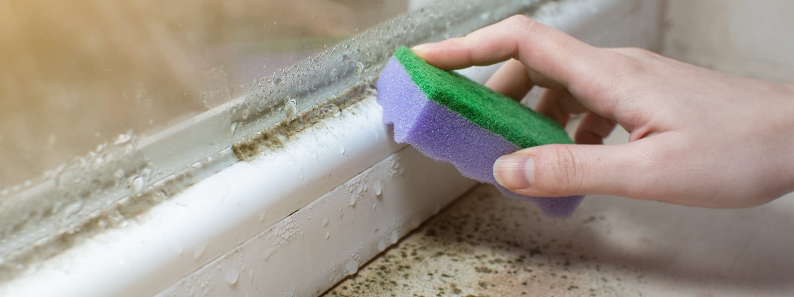 Mold Samples Pekin IL 1 Mold Samples Pekin IL