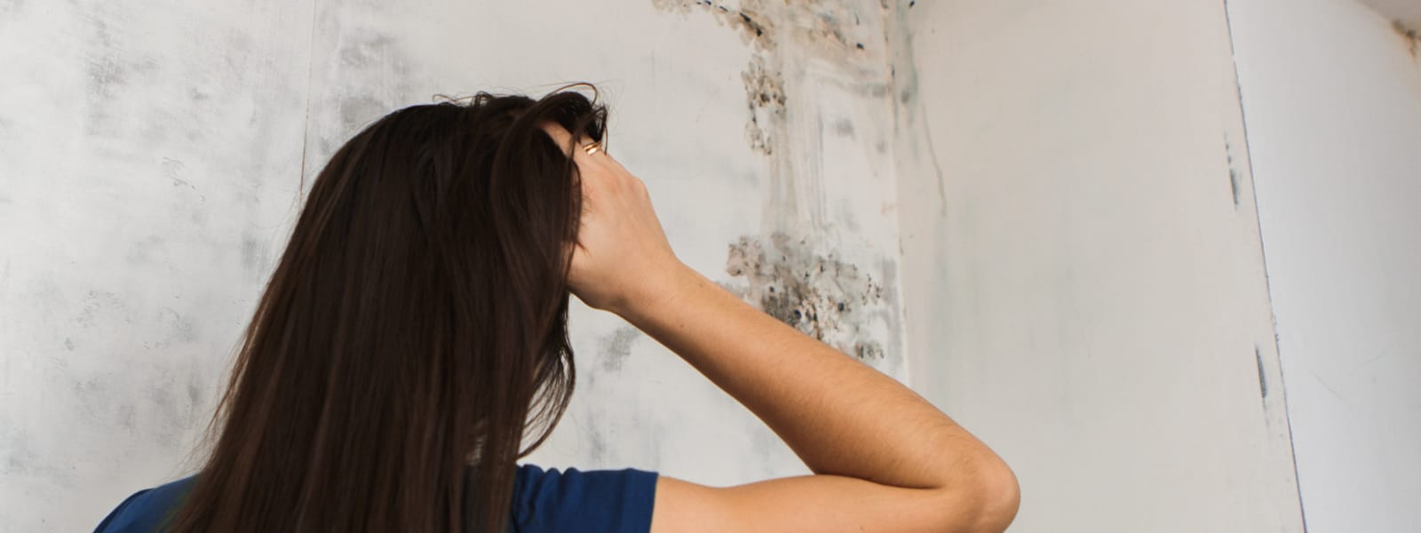 Mold Samples Washington IL