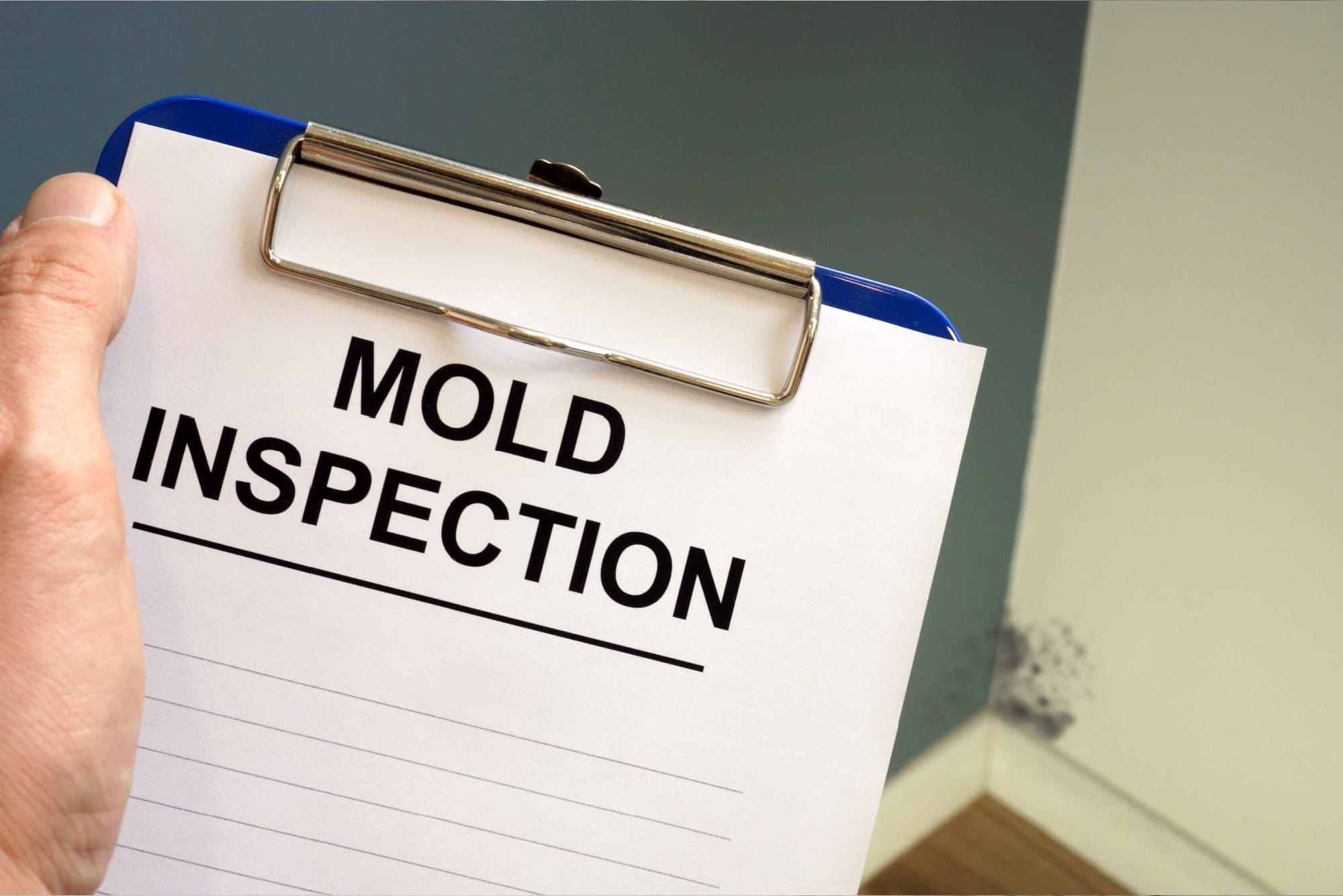 Mold Testing (2) Mold Testing (2)