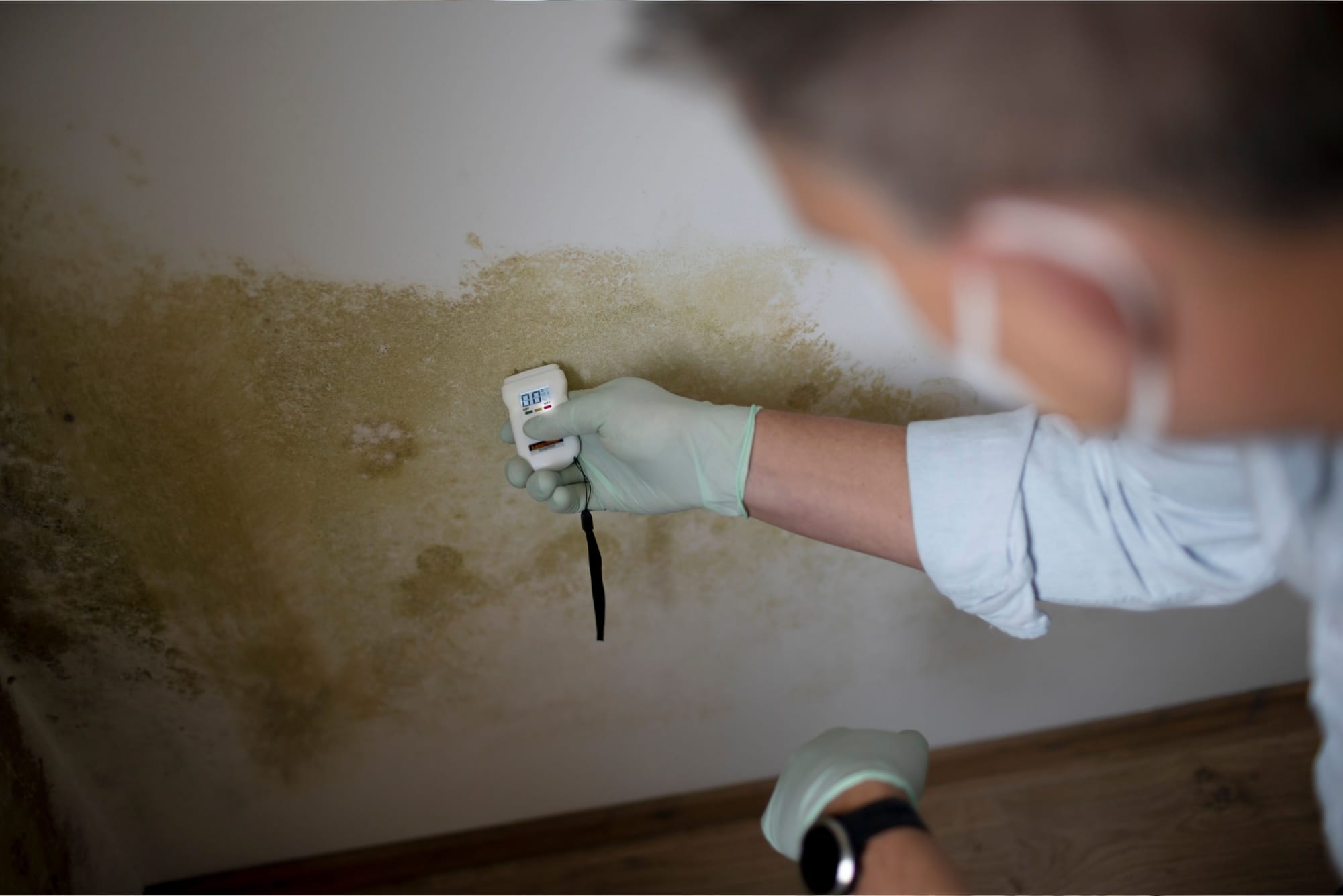 About 1 Mold Testing