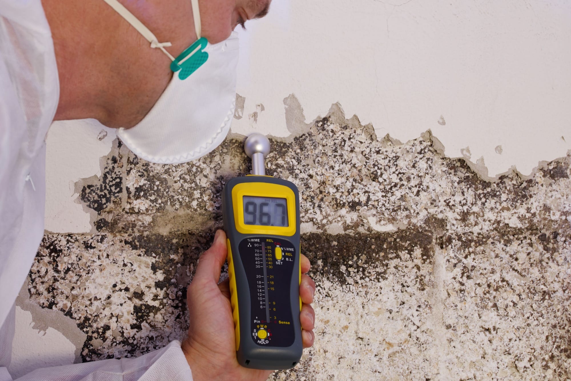 mold inspection mold inspection